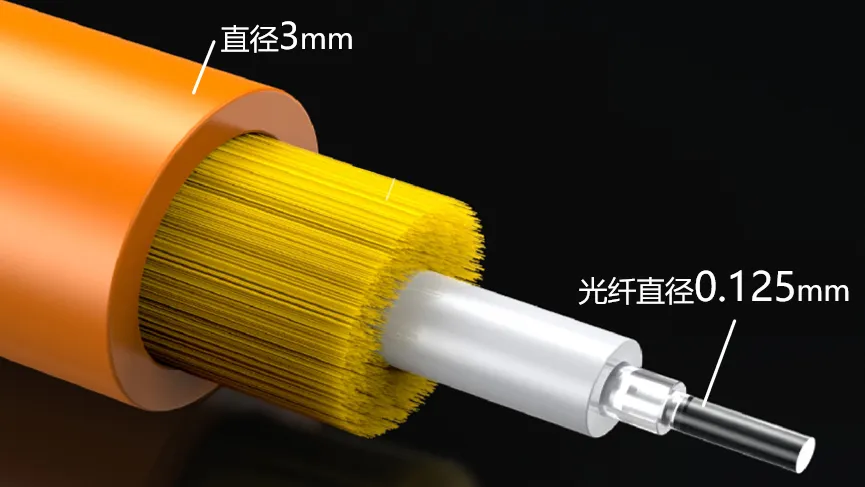 光纖解剖示意圖 光纖解剖示意圖