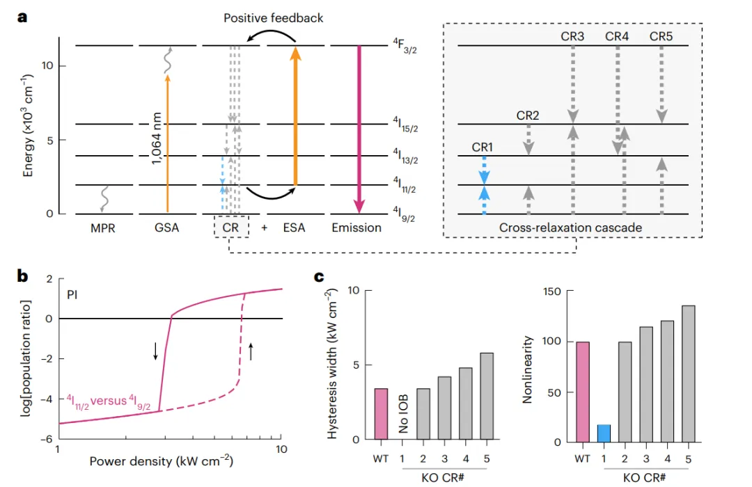 雪崩納米粒子ANPs中的本征光學雙穩(wěn)態(tài)IOB模型。
