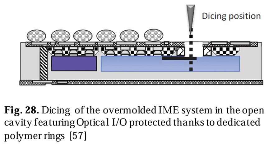 在開(kāi)放式腔體中切割過(guò)模IME系統(tǒng)，該腔體通過(guò)專用聚合物環(huán)保護(hù)光學(xué)/O[